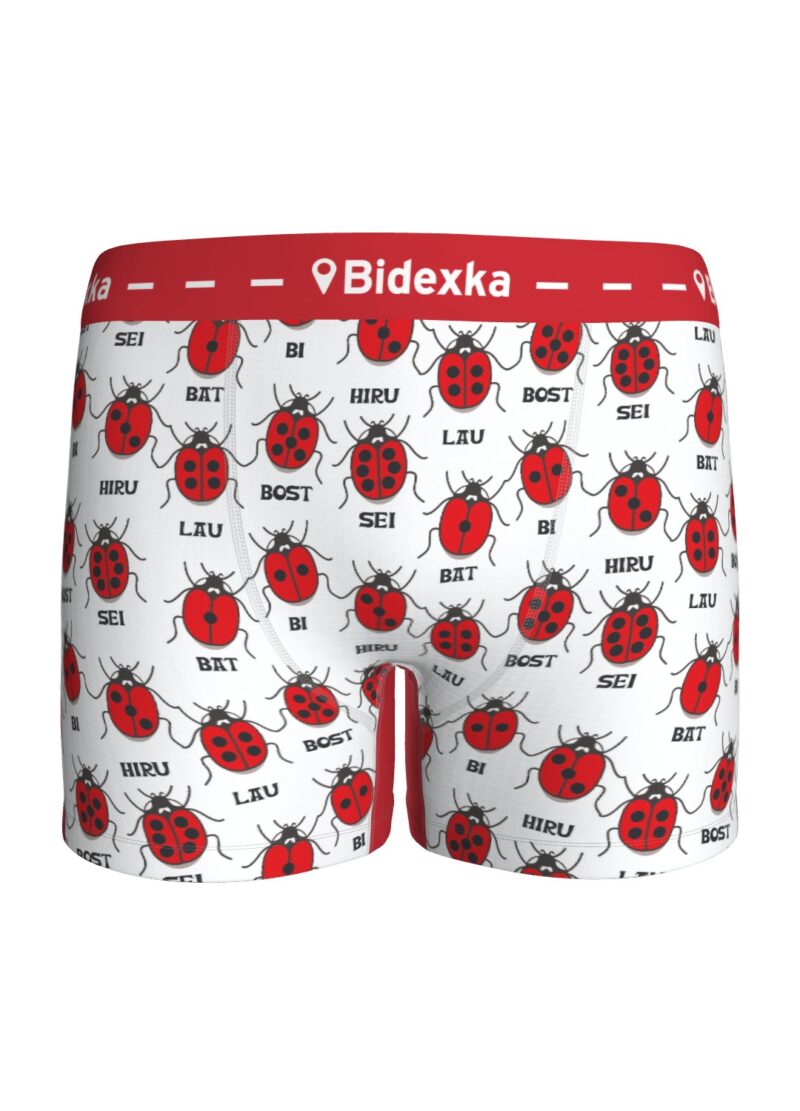 Coccinelles Rouges – Image 2