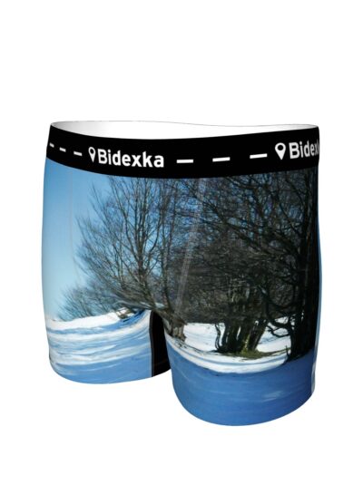 Paysage Ski