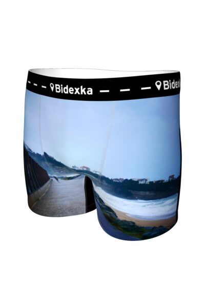 Paysage 1