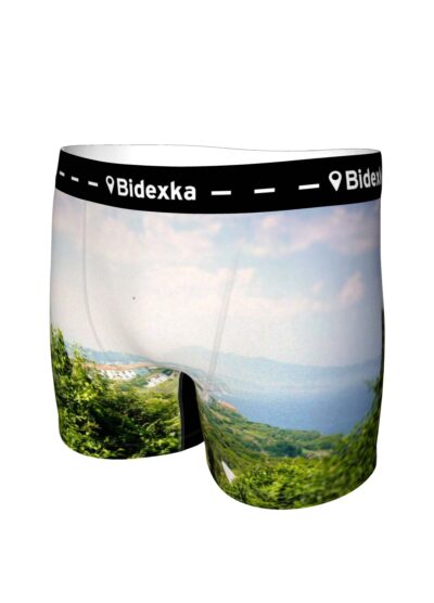 Paysage 3