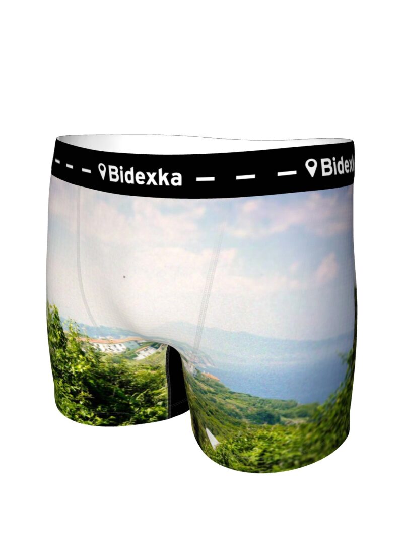 Paysage 3